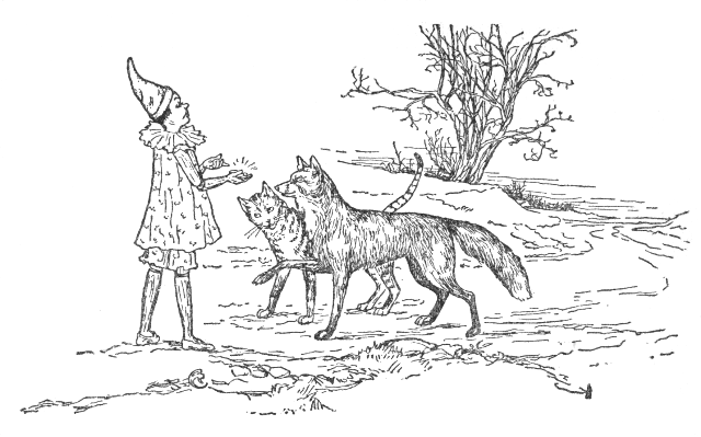 PINOCCHIO GẶP MÈO VÀ CÁO