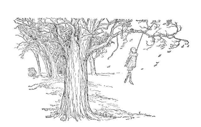 CHÚNG TREO PINOCCHIO LÊN CÂY SỒI LỚN
