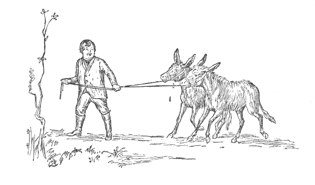 NHỮNG CHÚ LỪA CON BỊ BÁN ĐI