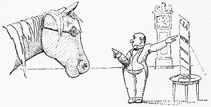 Nó nhìn rõ như mọi khi