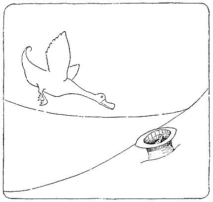 và tôi đã lên đó vì không muốn chết đuối