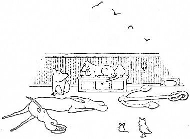 "‘Mi là miếng thịt ngu ngốc có mùi khói!’"