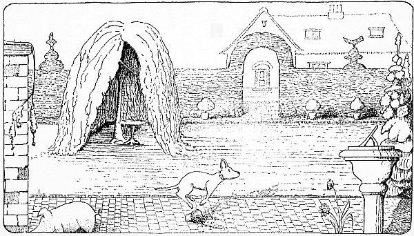 Cậu bắt đầu chạy quanh vườn như một kẻ điên