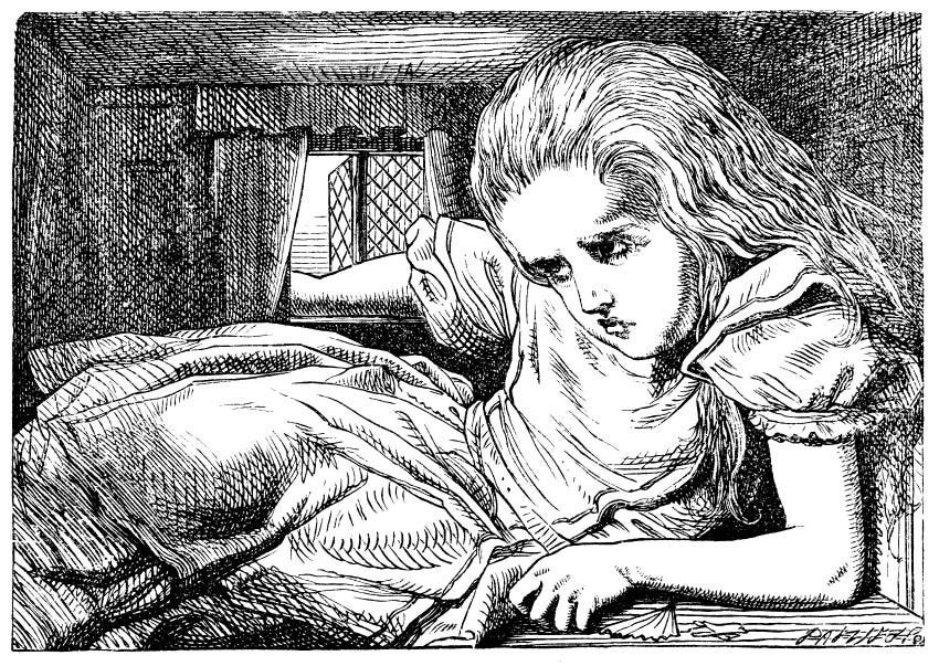 Alice bị kẹt trong nhà Thỏ Trắng