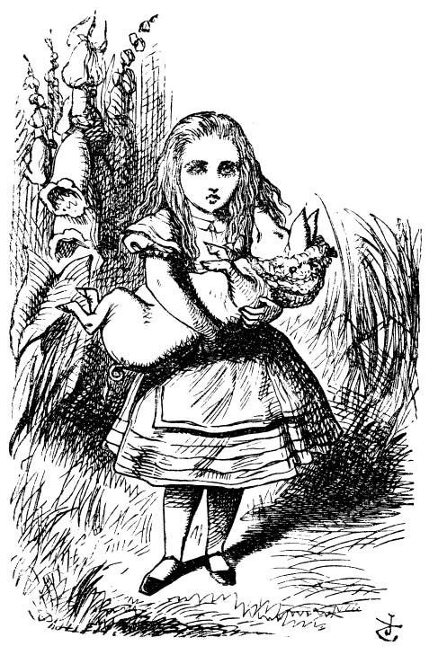 Alice và bé lợn con