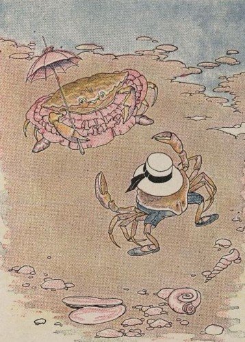 CUA CON VÀ CUA MẸ