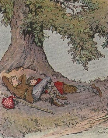 CÂY BÓNG MÁT