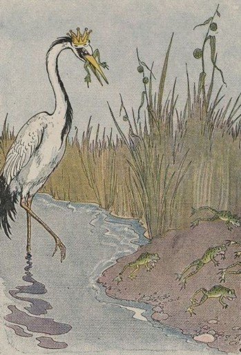 NHỮNG CHÚ ẾCH MUỐN CÓ VUA