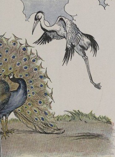 CON CÔNG VÀ CON SẾU
