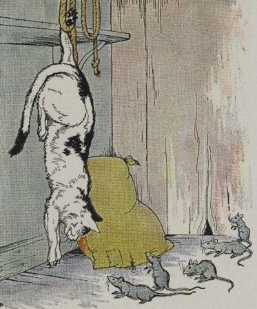 MÈO VÀ CHUỘT GIÀ