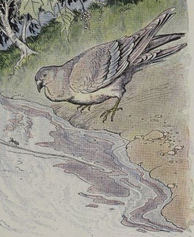 KIẾN VÀ CHIM BỒ CÂU